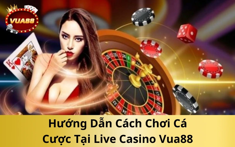 Hướng Dẫn Cách Chơi Cá Cược Tại Live Casino Vua88