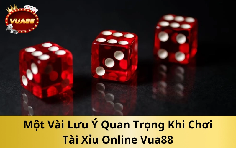 Một Vài Lưu Ý Quan Trọng Khi Chơi Tài Xỉu Online Vua88
