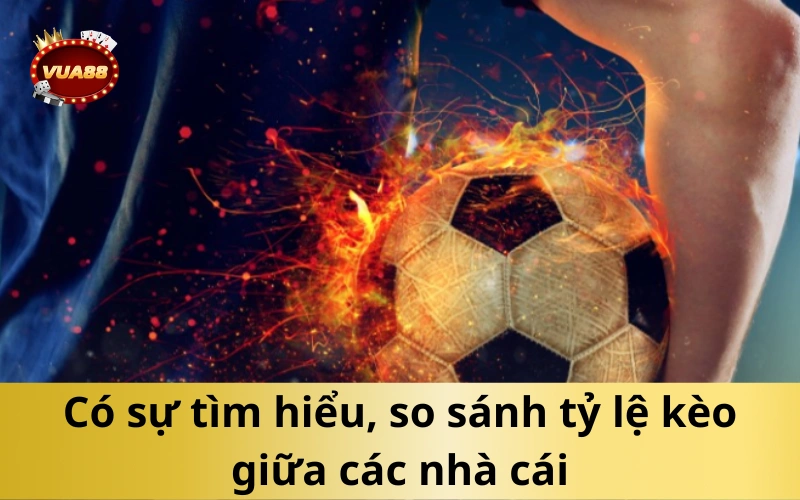 Có sự tìm hiểu, so sánh tỷ lệ kèo giữa các nhà cái